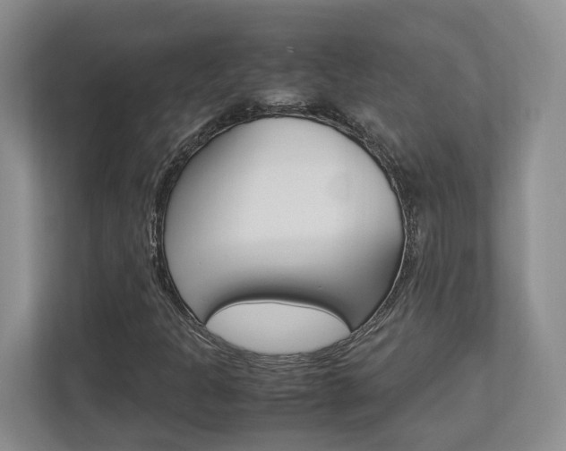 X0000112951301200908241019