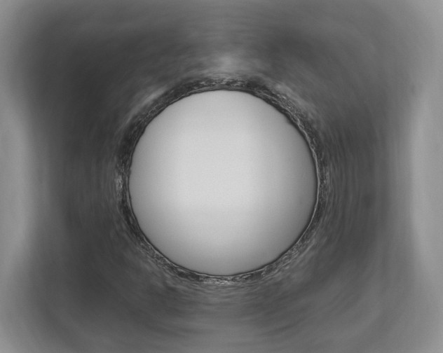 X0000112951302200908241019