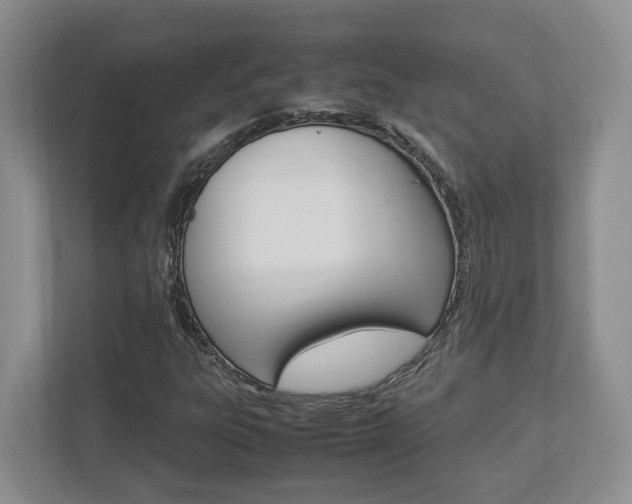 X0000112951303200908241019