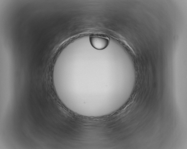 X0000112951304200908241019