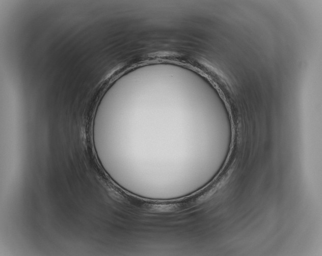 X0000112951305200908241019