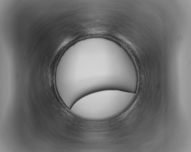 X0000112951306200908241019