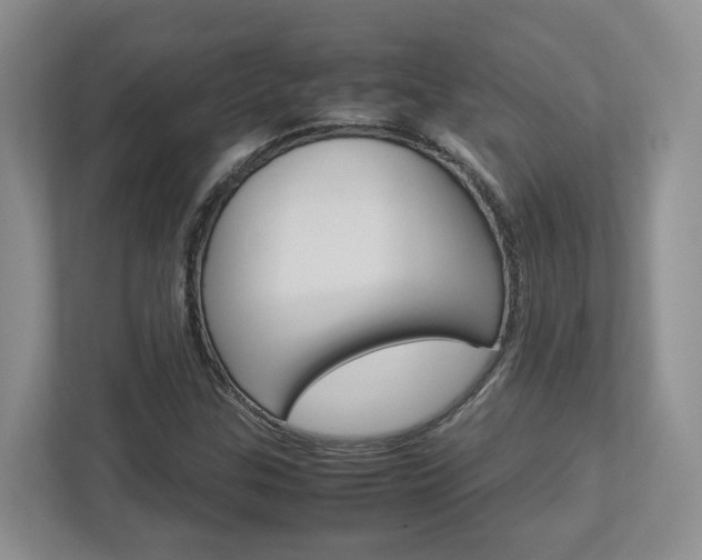 X0000112951307200908241019