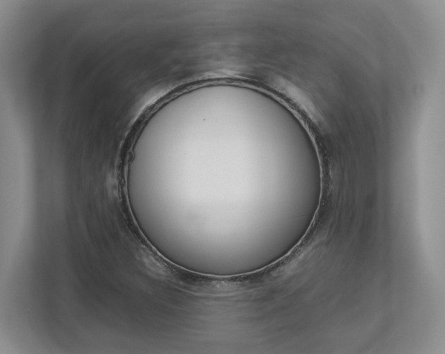 X0000112951308200908241019