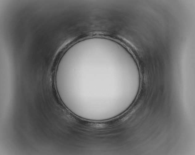 X0000112951309200908241019