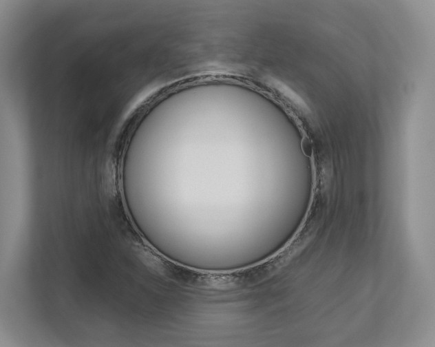X0000112951310200908241019