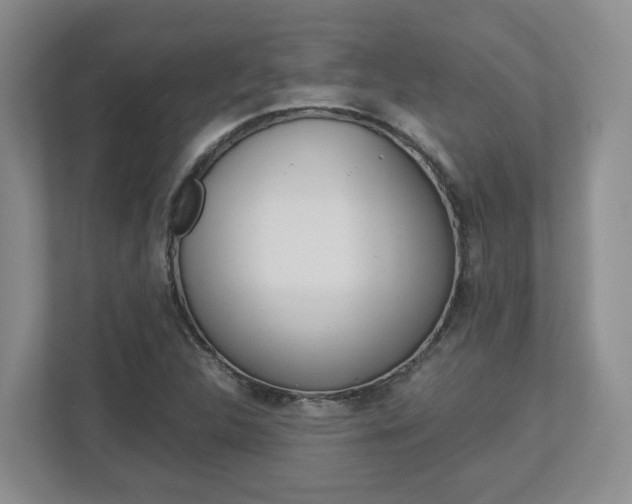 X0000112951312200908241019
