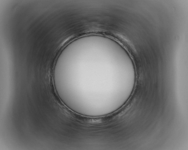 X0000112951313200908241019