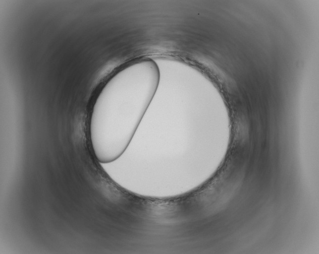 X0000112951314200908241019