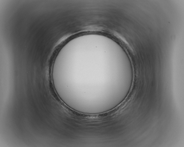X0000112951315200908241019