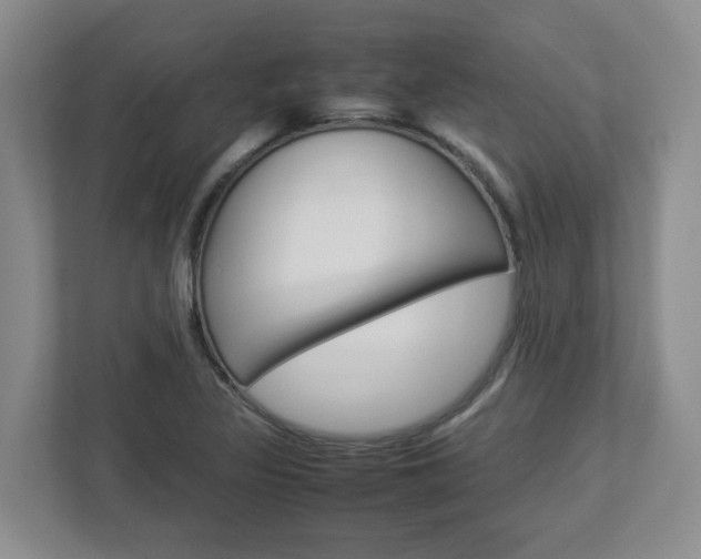 X0000112951317200908241019