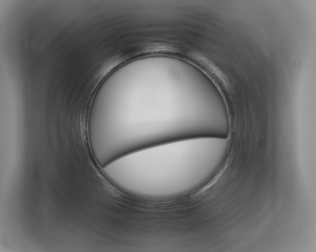 X0000112951321200908241019