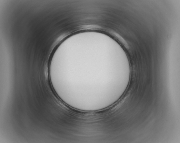 X0000112951322200908241019