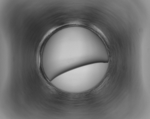 X0000112951323200908241019