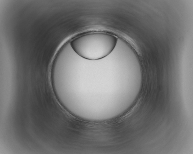 X0000112951326200908241019