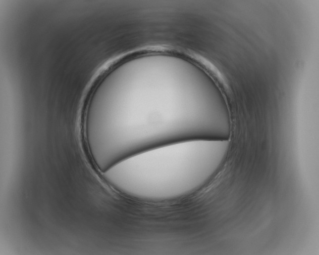 X0000112951327200908241019