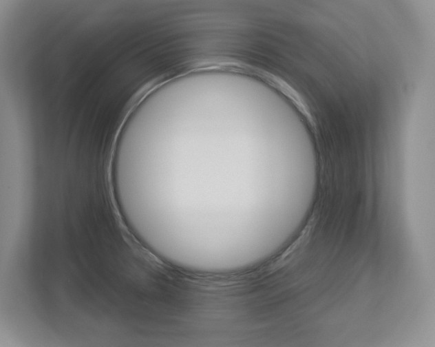 X0000112951330200908241019
