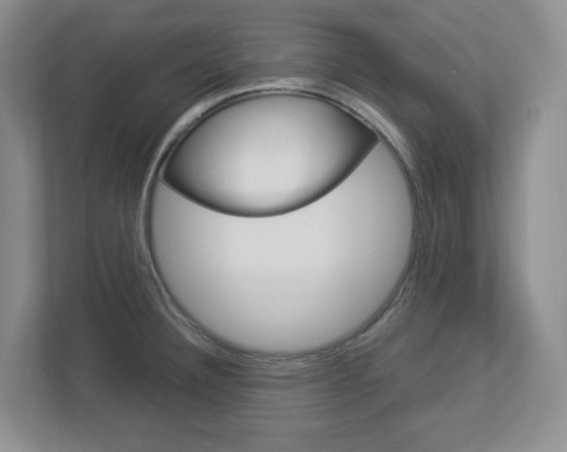 X0000112951332200908241019