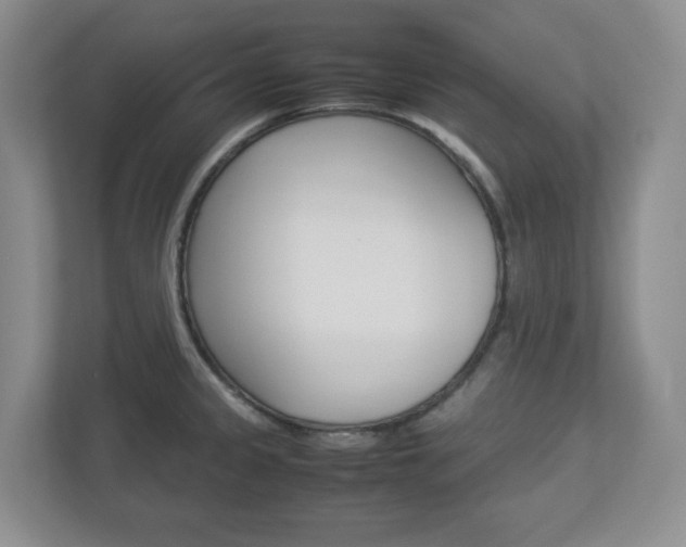 X0000112951333200908241019