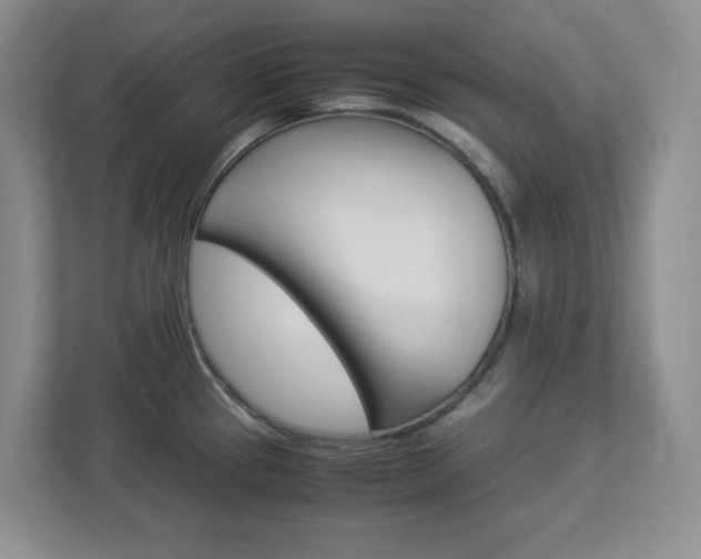 X0000112951337200908241019