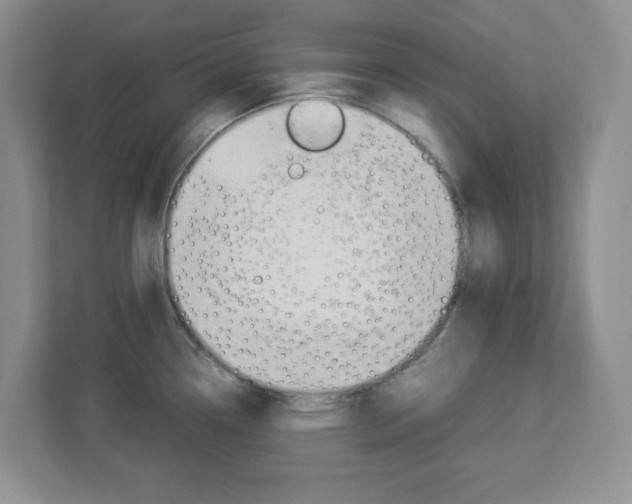X0000112951338200908241019