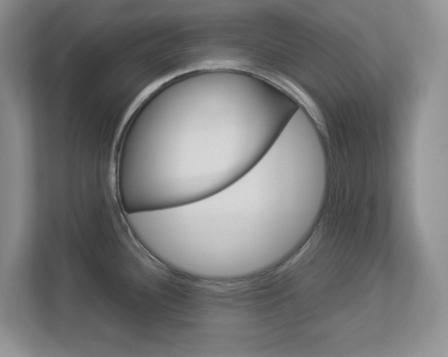 X0000112951340200908241019