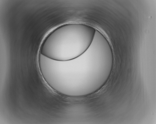 X0000112951344200908241019