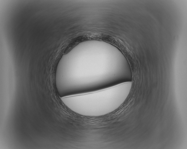 X0000112951345200908241019