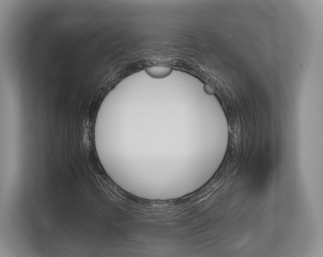 X0000112951346200908241019