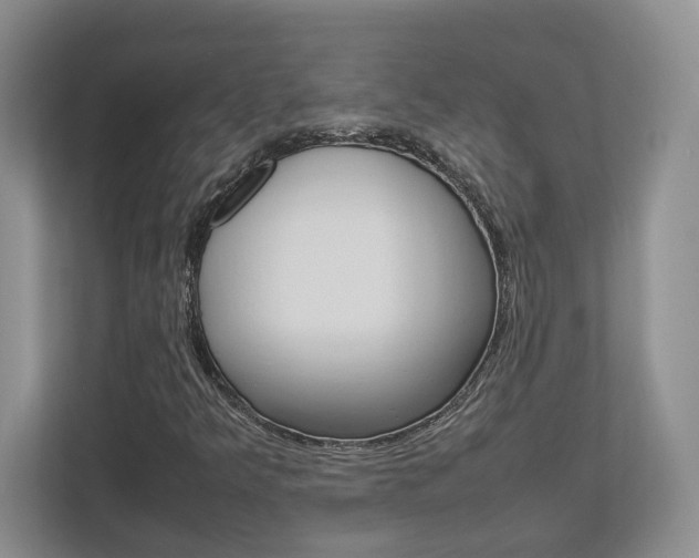 X0000112951349200908241019