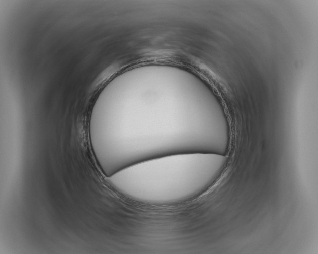 X0000112951354200908241018