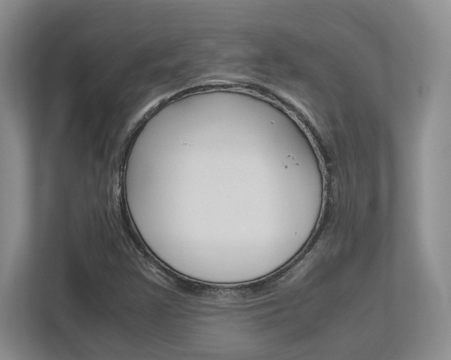 X0000112951355200908241018