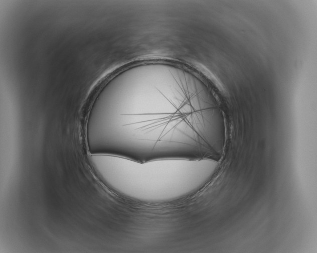 X0000112951356200908241018