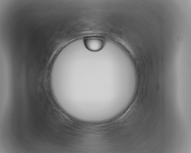X0000112951357200908241018