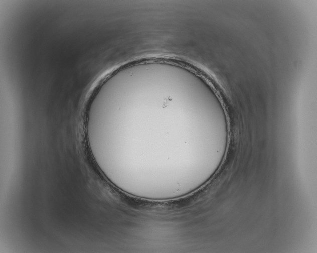 X0000112951359200908241018
