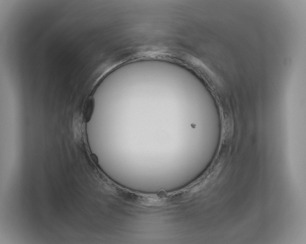 X0000112951361200908241018