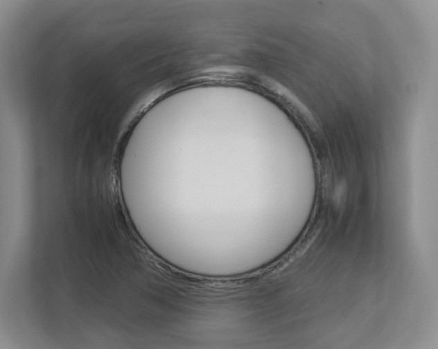 X0000112951362200908241018