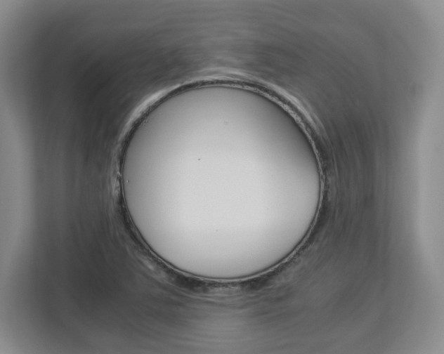 X0000112951363200908241018