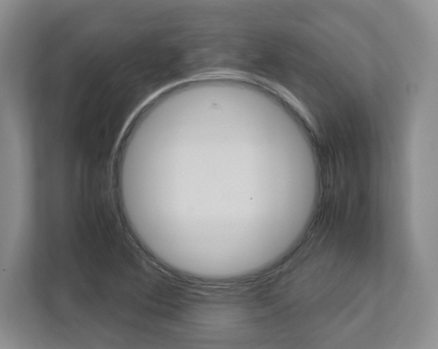 X0000112951364200908241018