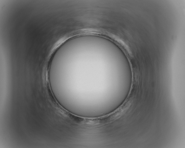 X0000112951365200908241018