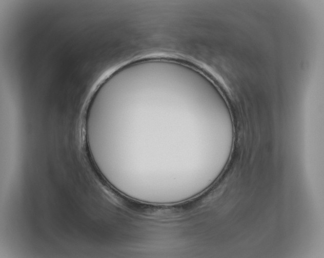 X0000112951367200908241018