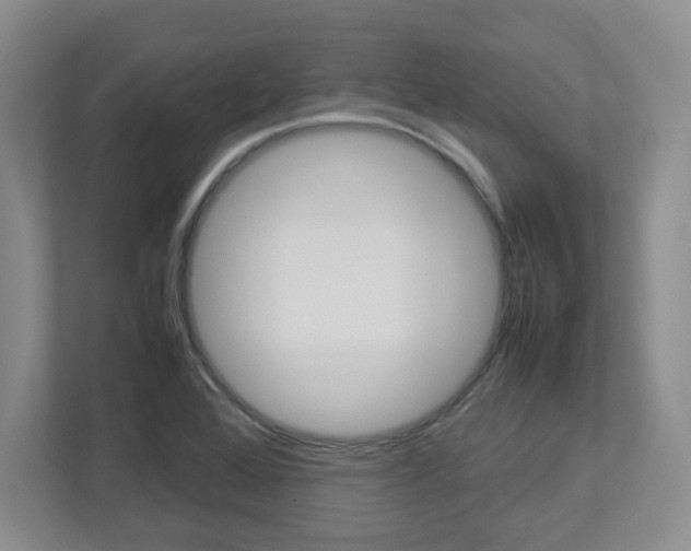 X0000112951368200908241018