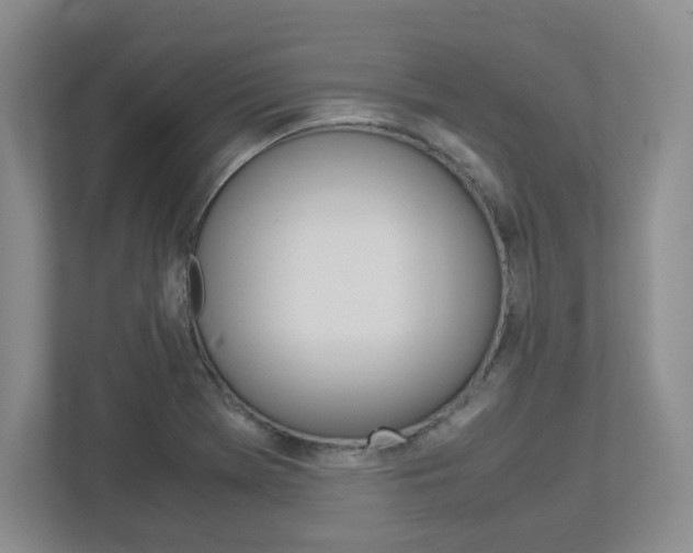X0000112951369200908241018