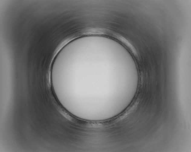 X0000112951370200908241018