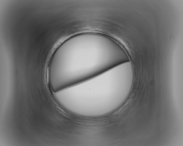 X0000112951371200908241018