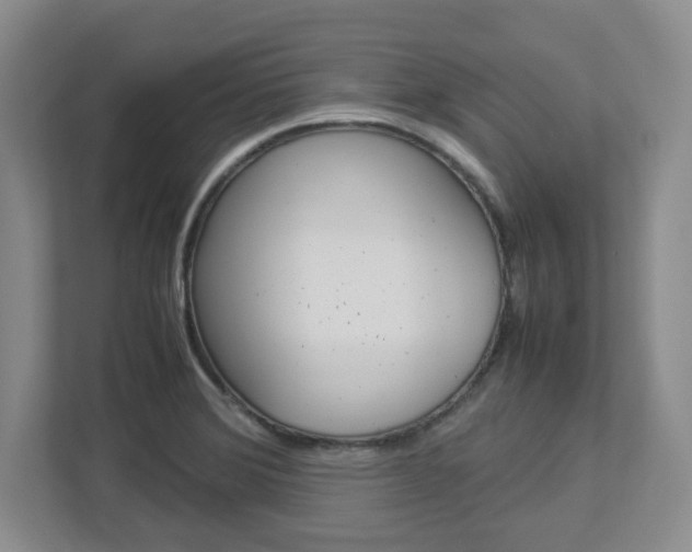 X0000112951372200908241018
