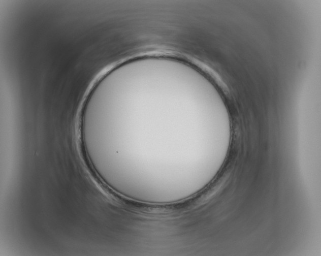 X0000112951375200908241018