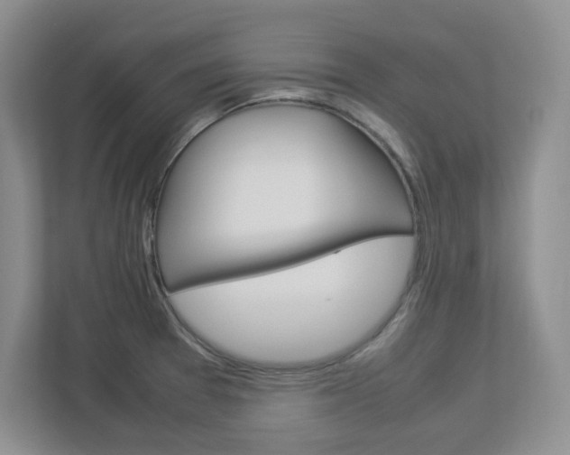 X0000112951377200908241018