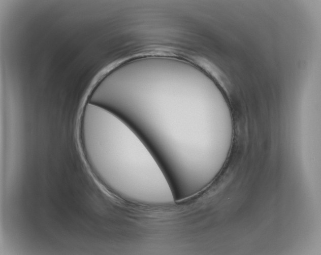 X0000112951379200908241018