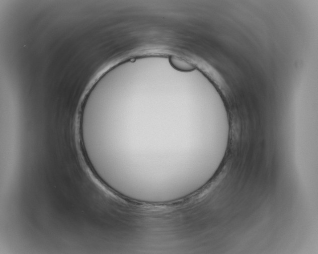 X0000112951382200908241018